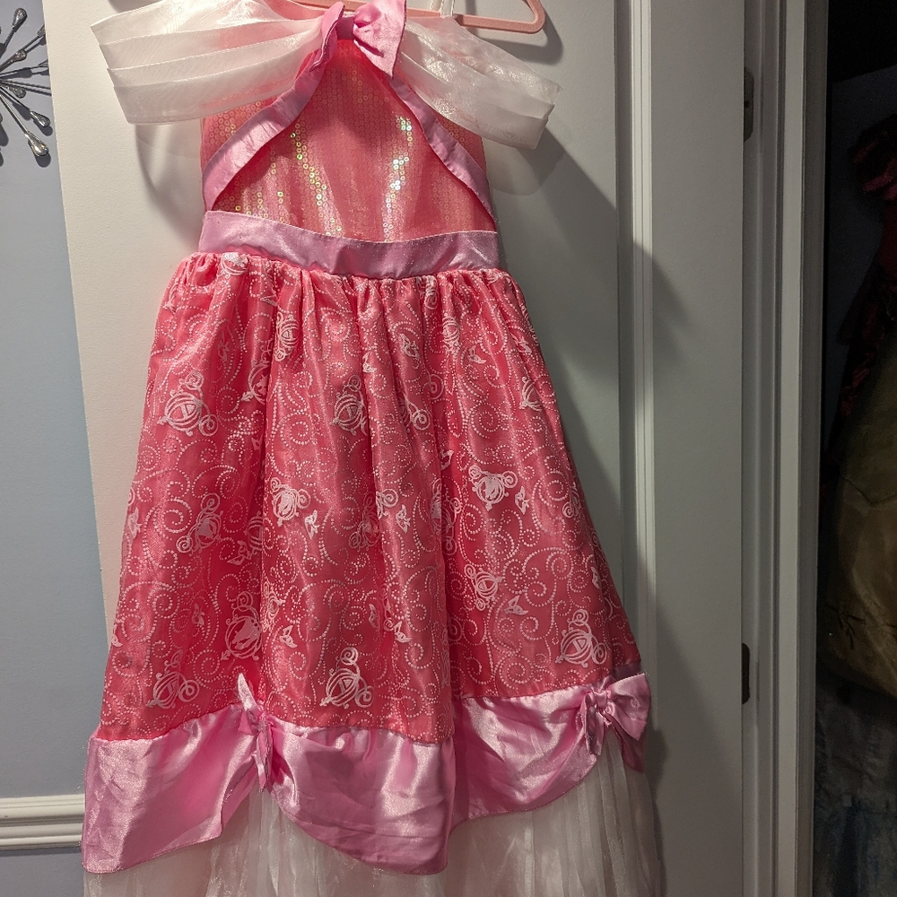 Sleeping Beauty costume/dress